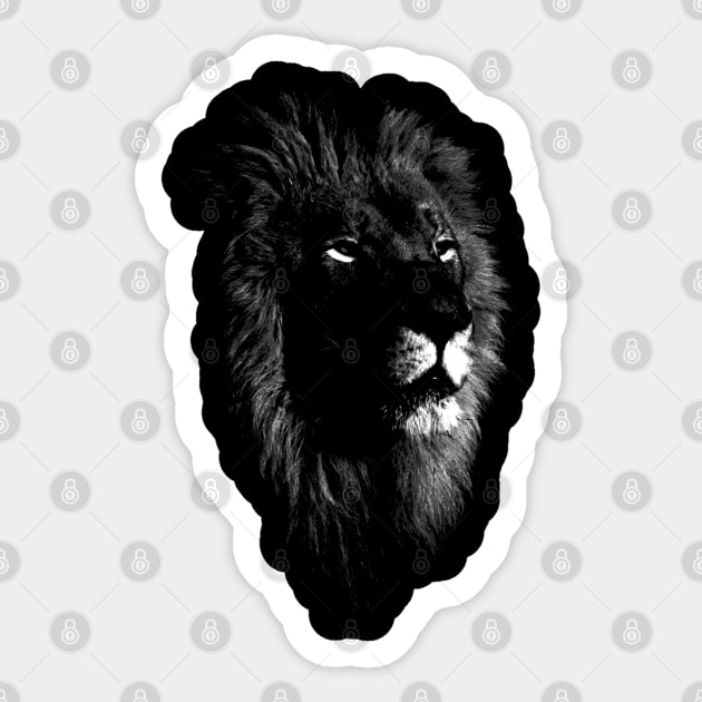 africa lion, lion black shirt Sticker by hottehue